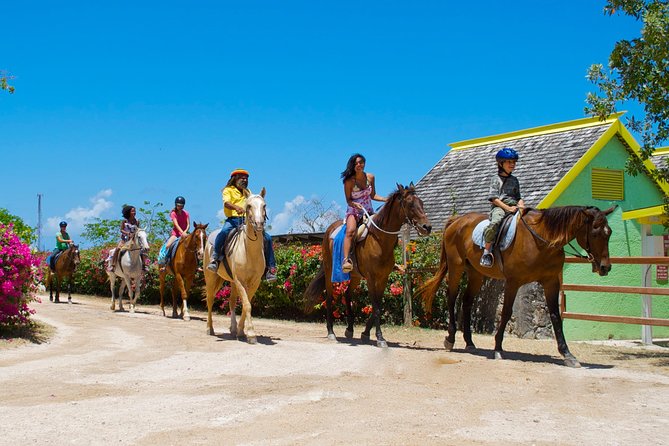 Braco Stables Horseback Ride and Swim Excursion From Runaway Bay - Health and Safety Requirements