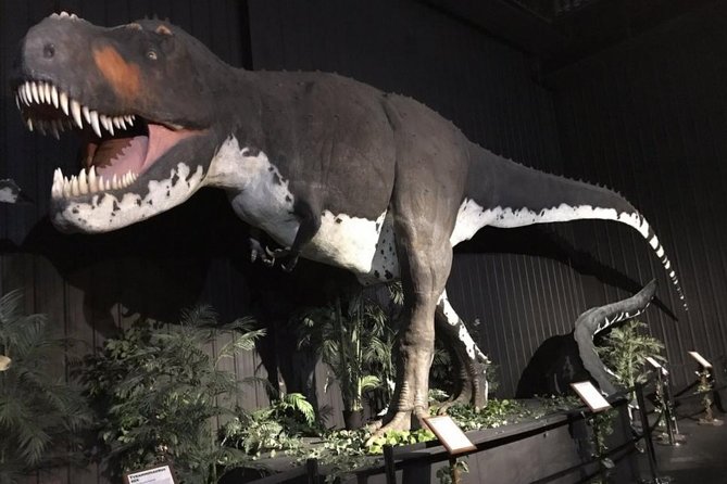Branson Dinosaur Museum Admission Ticket - Admission Pricing Details