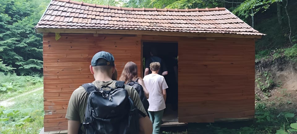 Brașov: 4-Hour Bear Watching Tour in Carpathian Mountains - Experience Highlights