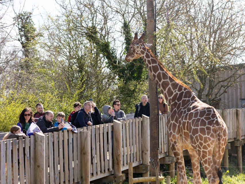 Bristol: Bristol Zoo Project Entry Ticket - Exploring the Zoo Experience