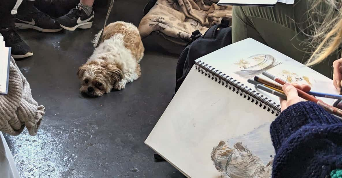 Bristol: Dog Life Drawing Led by Local Artist Cai Burton - Booking Information and Cancellation Policy