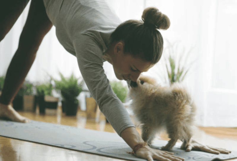 Budapest: Puppy Yoga Class - Booking Your Class