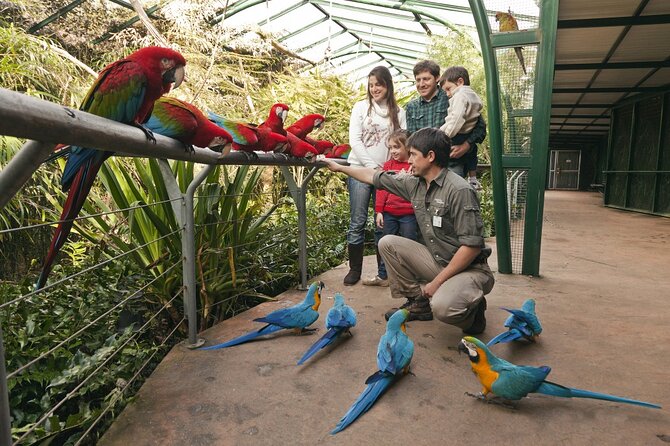 Buenos Aires: Temaiken Biopark Including Transfers - Tour Experience