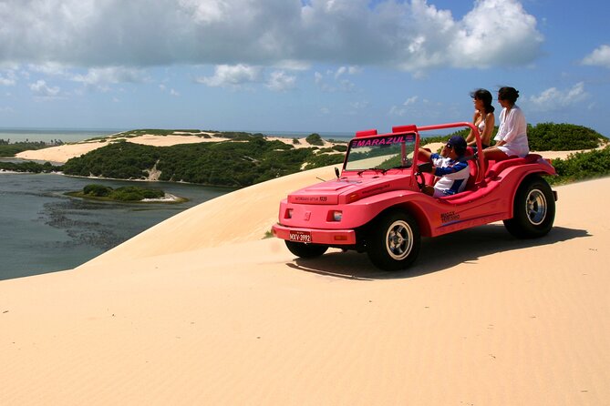 Buggy Tour To Genipabu - Experience Highlights