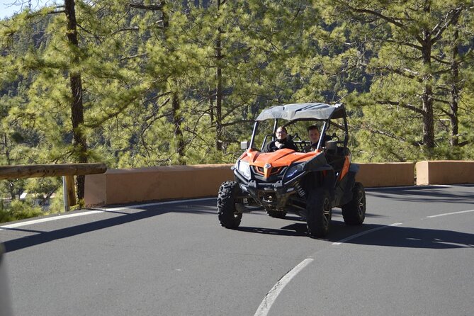 Buggy Tour Volcano Teide By Day in Teide National Park - Exploring the Volcanic Terrain