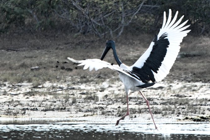 Bundala Birding Paradise - All Inclusive Tour - Pickup and Drop-off Locations