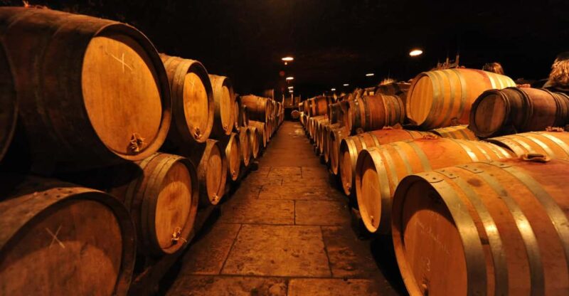 Burgundy Wines Full-Day Tasting Tour From Dijon - Wine Tasting Experience