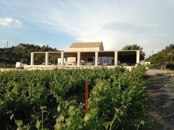 Butterflies Valley & Wine Tasting Experience Private Tour - Inclusions and Highlights