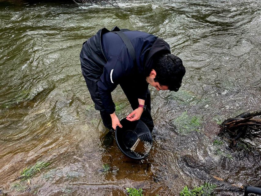 Cáceres: Gold Searching and Panning With an Expert Guide - Highlights of the Experience