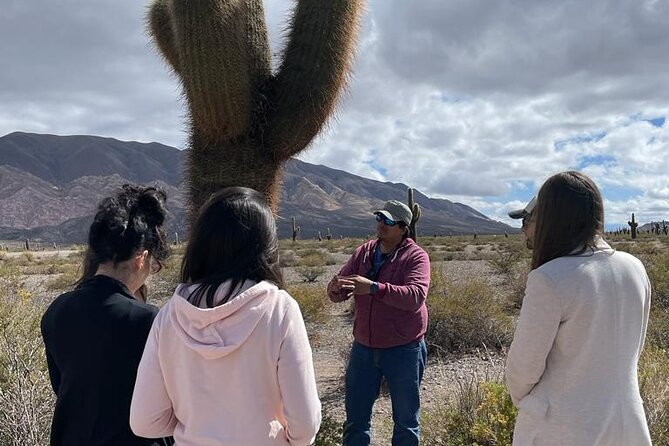 Cachi Full Day Tour From Salta - Scenic Landscapes