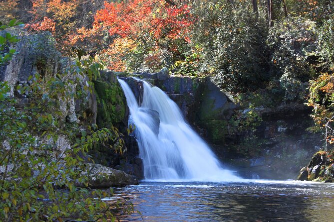 Cades Cove Sightseeing Self-Guided Driving Audio Tour - Key Tour Features