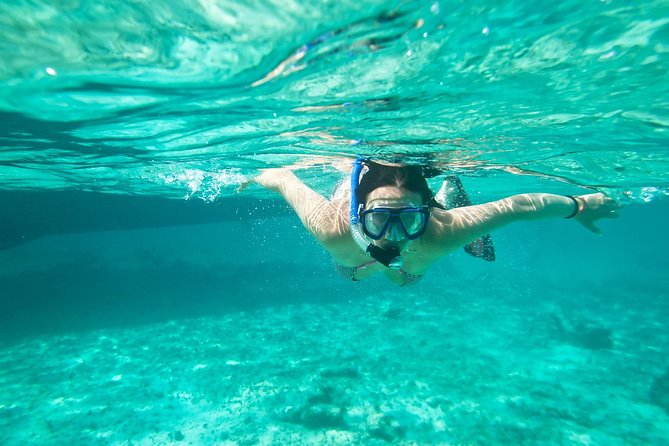 Cades Reef Snorkel Cruise From St. Johns Antigua - Snorkeling Experience at Cades Reef