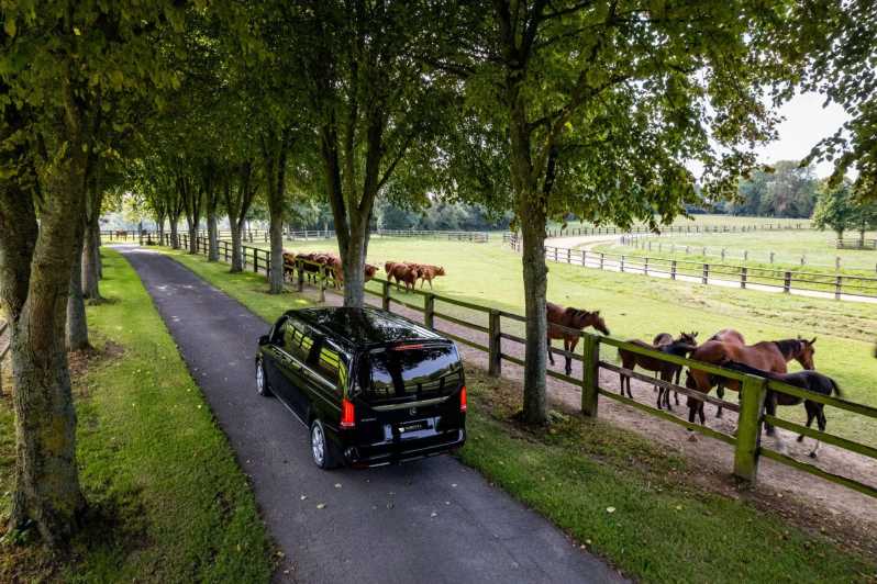 Caen: D-Day British and Canadian Sector Guided Tour - Visit British and Canadian Beaches