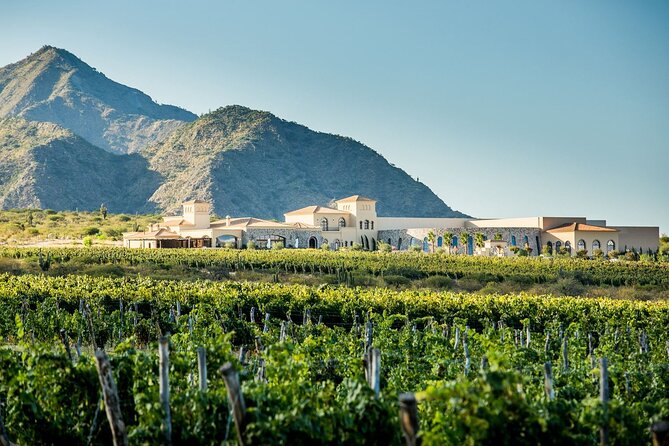 Cafayate Wine Trail Excursion: Explore Saltas Vineyards - Taking in Cafayates Wine Culture