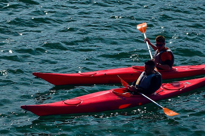 Cairo Kayak on The Nile River - Preparing for the Kayak Tour