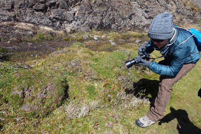 Cajas National Park Tour From Cuenca - Mirador De Turi