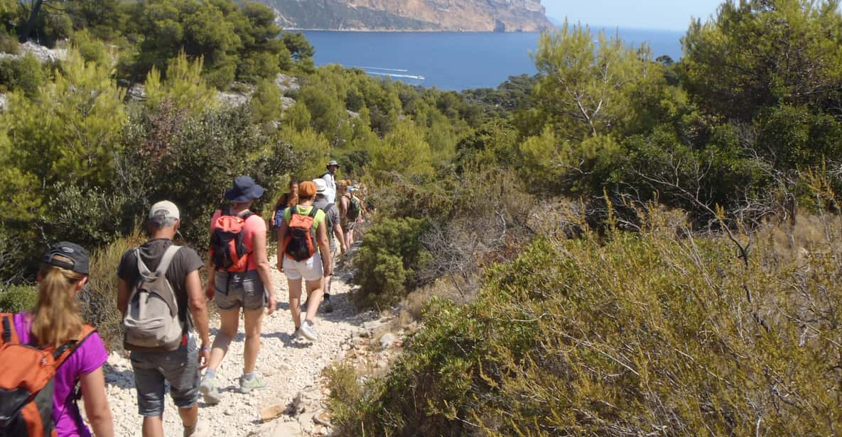 Calanques De Cassis: Hiking Day Trip - Experience Highlights