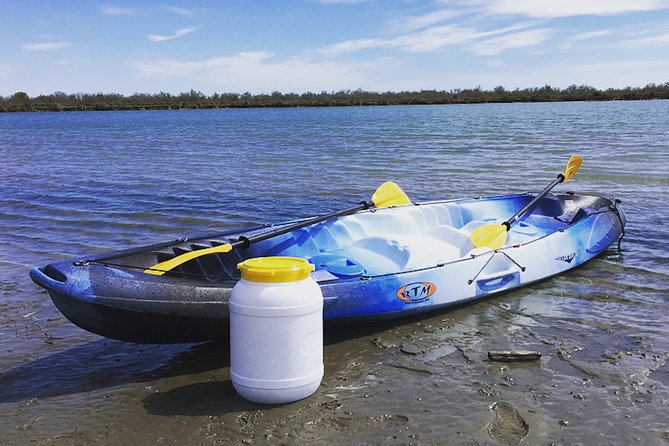 Camargue 4x4 Safari 2h + Picnic + Kayak - Inclusions and Duration
