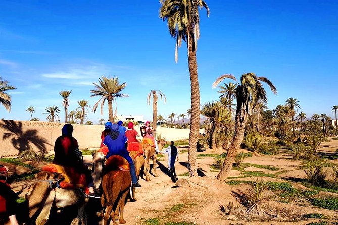 Camel Ride and Spa Treatment in Marrakech - Tour Highlights