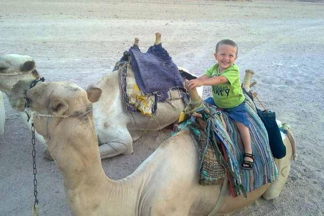 Camel Ride & Bedouin Dinner Quad Safari in Sharm El Sheikh - Itinerary Details