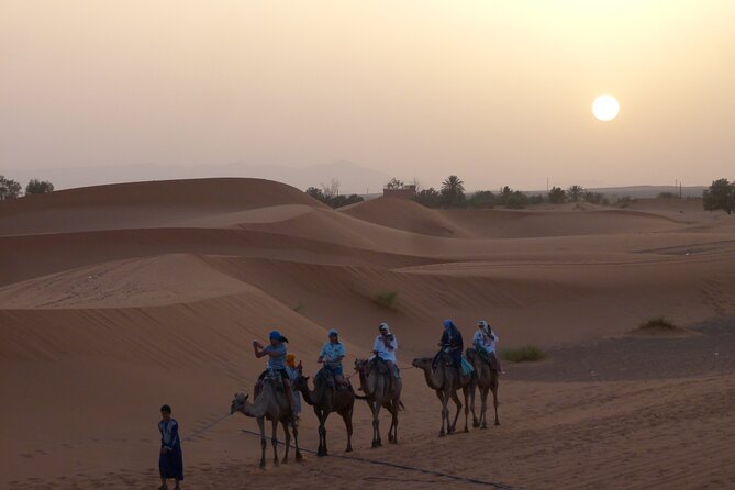 Camel Ride - Meeting and Departure Details