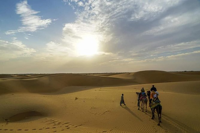 Camel Safari in Thar Desert - Meeting and Pickup Details