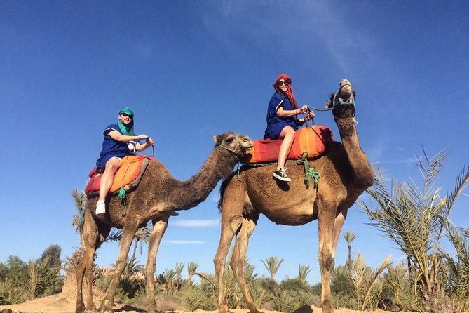 Camel Trek Around Marrakech Palmeraie - Meeting Points and Pickup