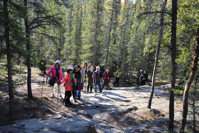 Cameron Falls Hiking Tour - Meeting and Departure