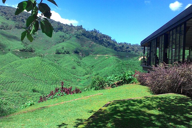 Cameron Highlands 3 Days 2 Night Tours Private (per Vehicle) - Detailed Itinerary