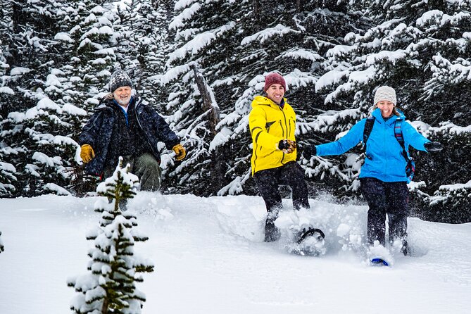 Canadian Rockies Helicopter & Snowshoe Adventure - Helicopter Experience Details