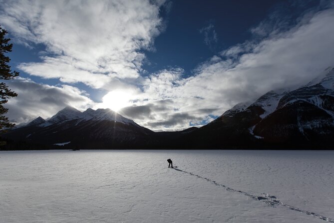 Canmore: Wilderness & Wildlife Hiking Tour - 3hrs - Tour Details