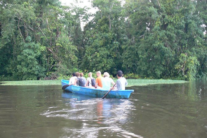 Canoe Tour in Tortuguero National Park - Highlights of the Tour