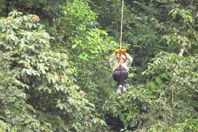 Canopy Tour in the Fabulous Hanging Bridges From San José - Taking in the Rainforest