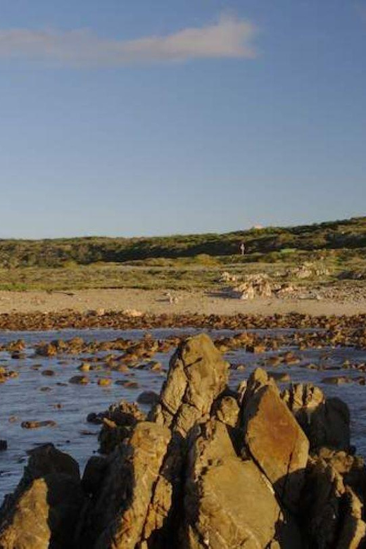 Cape Agulhas Tour: Private Day Trip! - Experience Highlights