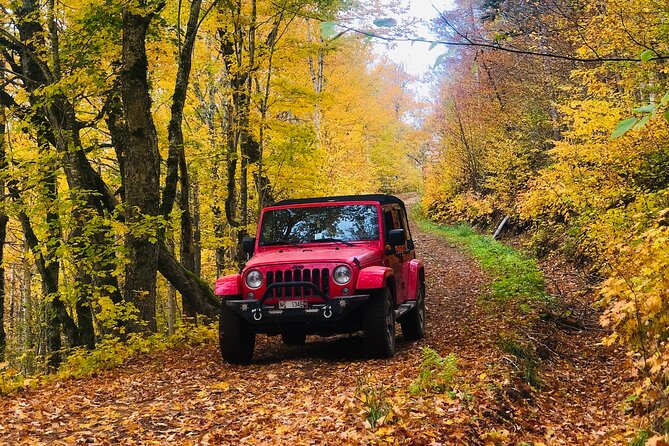 Cape Breton On/Off Road Scenic Adventure - Transportation and Amenities
