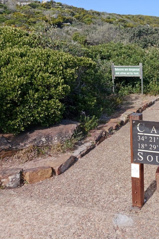 Cape Town: Cape of Good Hope and Boulders Beach Private Tour - Soaring Views From Table Mountain