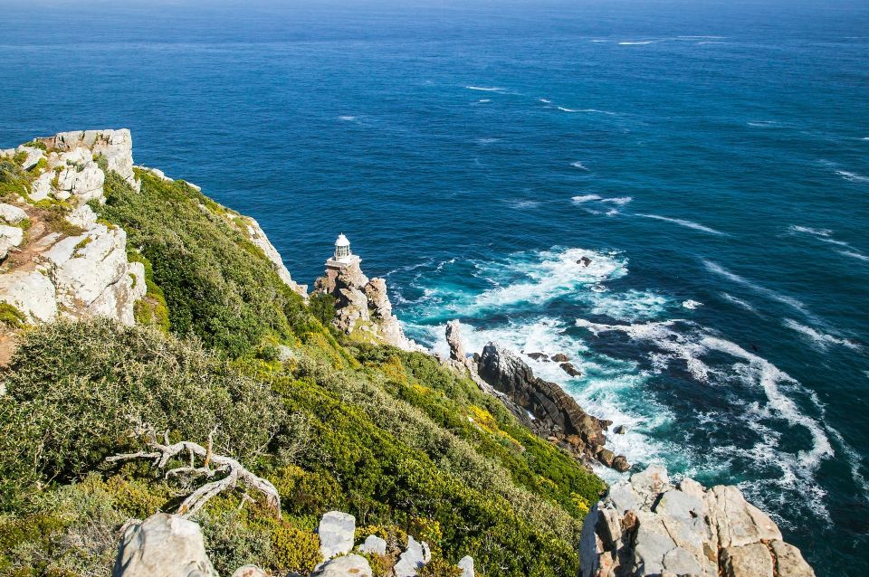 Cape Town: Cape Peninsula and Winelands Full Day Combo Tour - Tour Highlights and Experience