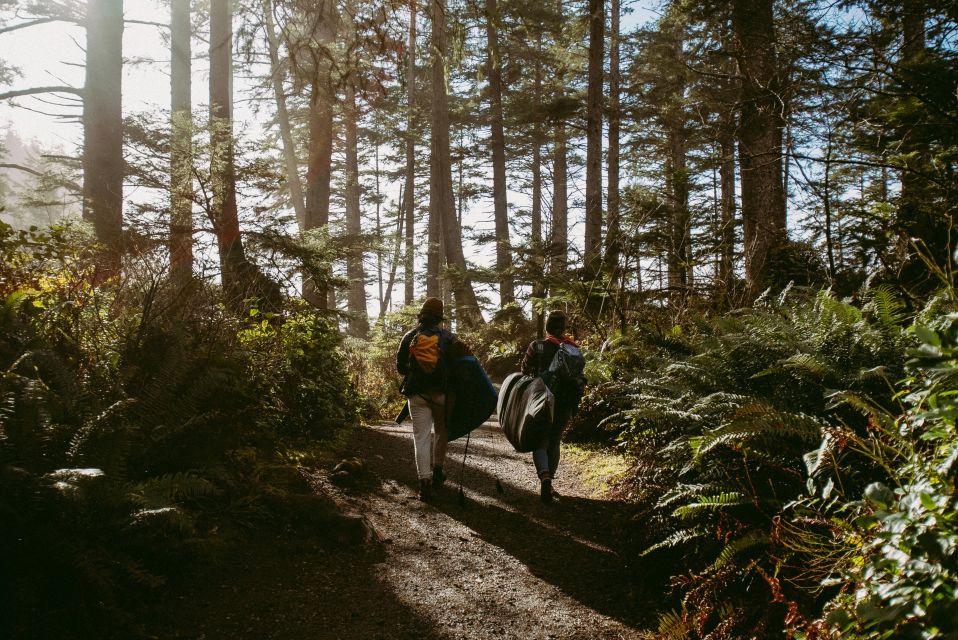 Cape Town: Forest Bathing and Silent Walking Meditation - Experience Highlights