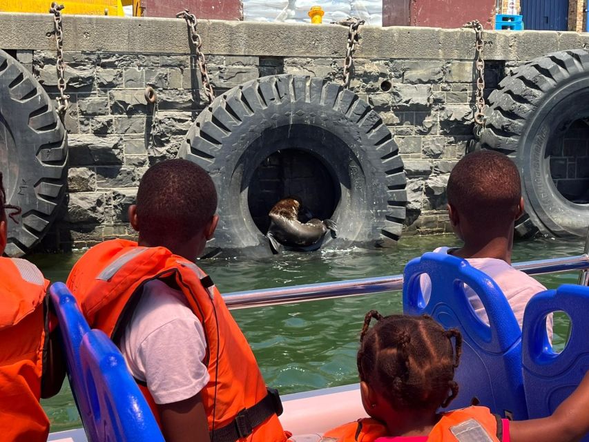 Cape Town: Harbor Cruise - Exploring the Scenic Waterfront