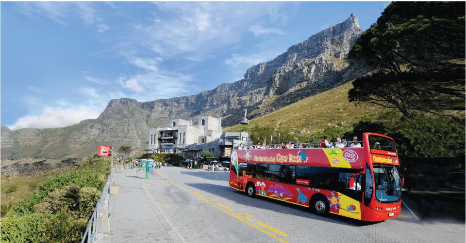 Cape Town: Hop-On Hop-Off Bus Tour With Optional Cruise - Tour Experience