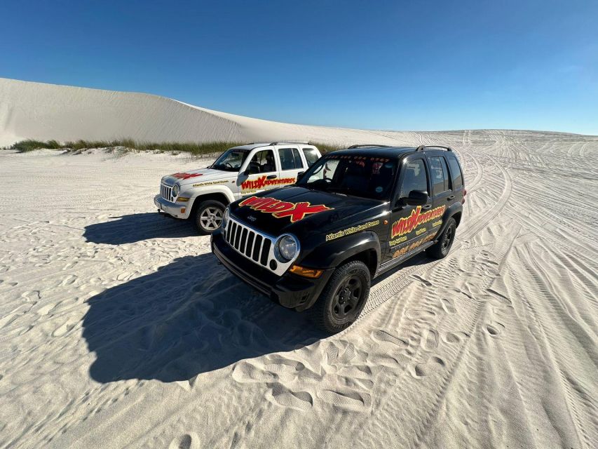 CAPE TOWN: JEEP 4X4 TOURS IN ATLANTIS DUNES - Experience Highlights