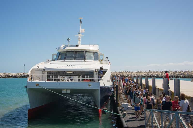 Cape Town: Robben Island Boat Trip & Museum Tour Ticket - Experience Highlights