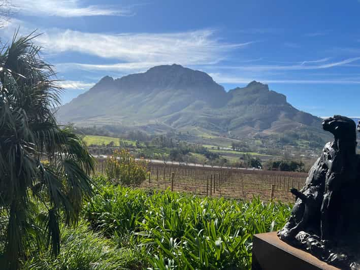 Cape Town: Stellenbosch & Franschhoek Private Wine Tour - Tour Highlights and Experience