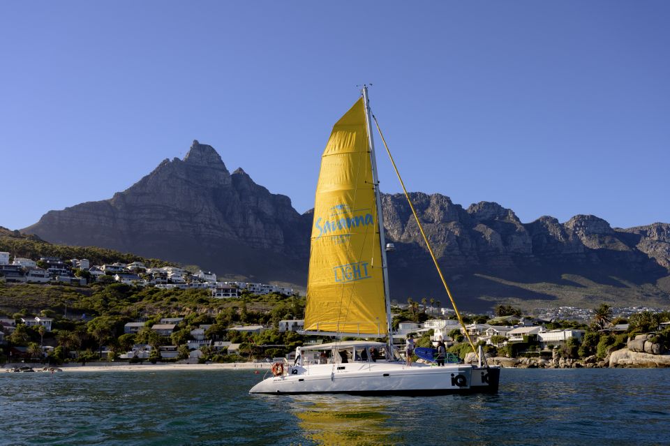 Cape Town: V&A Waterfront Champagne Cruise - Cruise Highlights