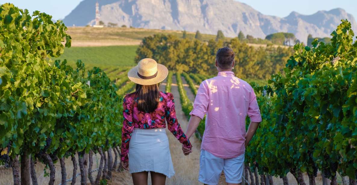 Cape Town Wine Tour (Paarl, Stellenbosch & Franschhoek) - Itinerary Highlights