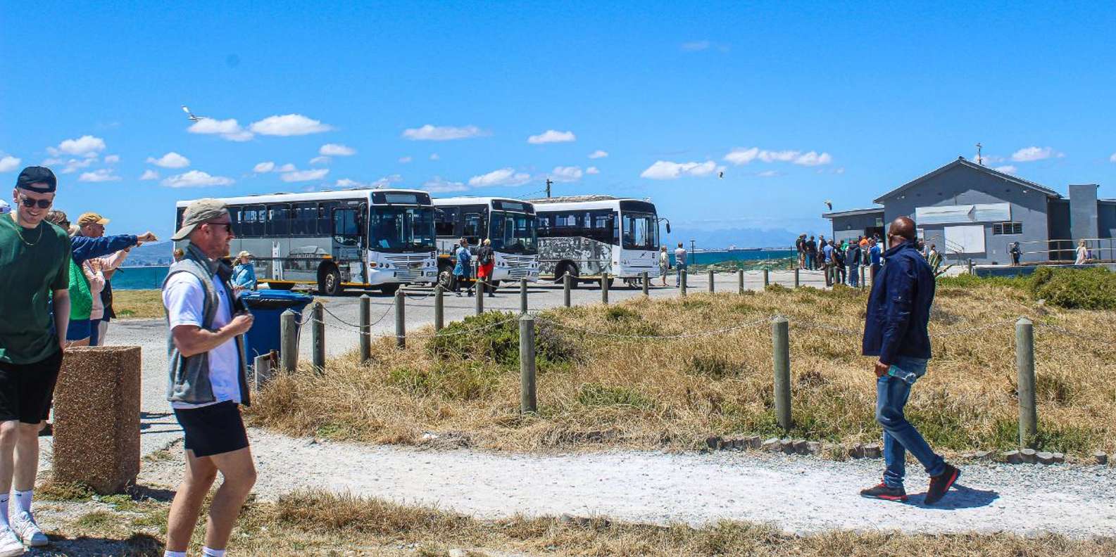 Cape Town:Robben Island Guided Tour, Skip the Ticketing Line - Itinerary and Duration of the Tour