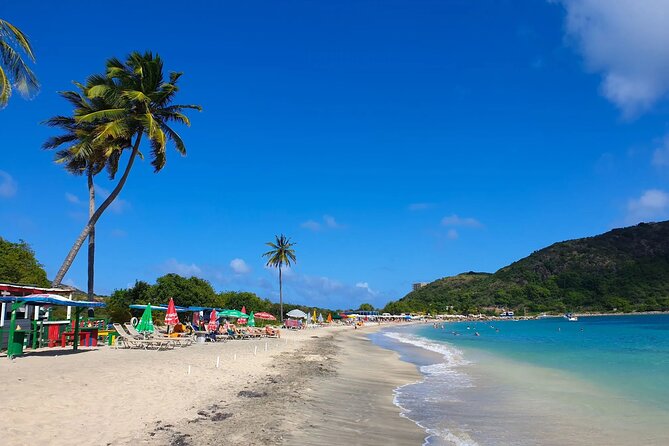 Capital City Tour and Beach Splash - Tour Guide and Service