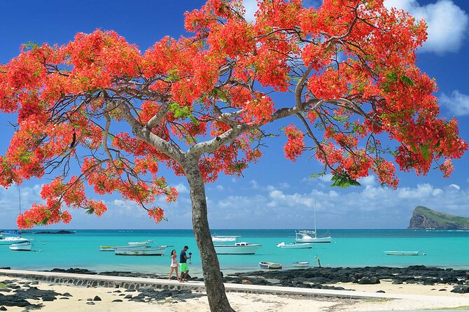 Car Hire for a Day With Driver - 8 Hours - Itinerary Customization Options