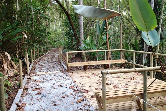 Carara National Park - Wildlife Highlights