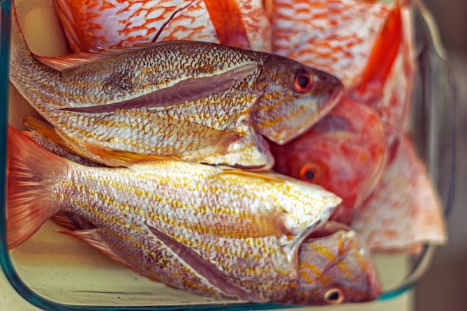 Caribbean Cuisine Cooking Class - Menu and Class Details